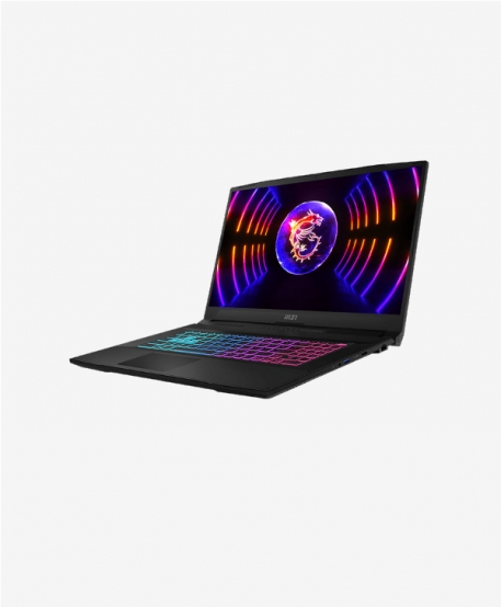 MSI Katana 17 B13UDXK-1233FR